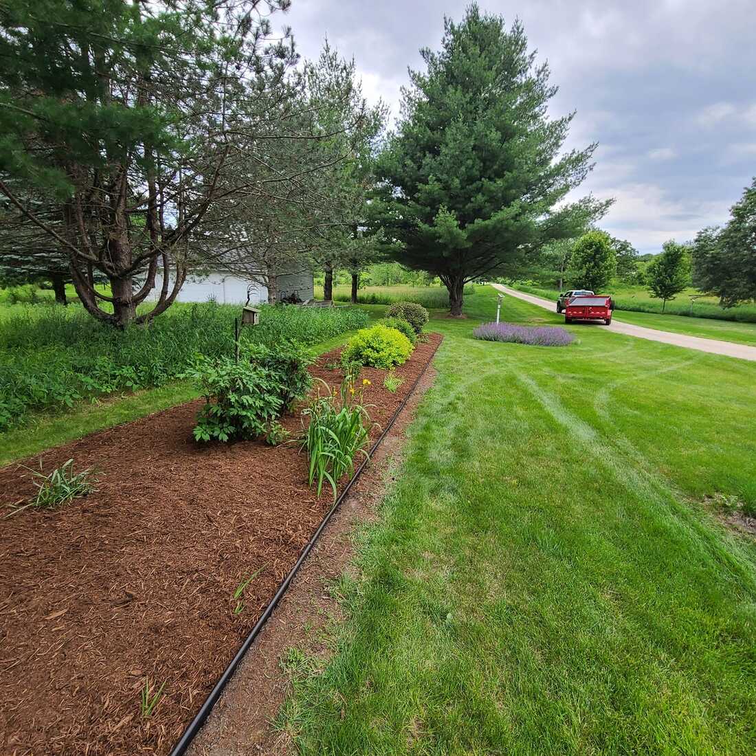 New mulched planting bed with metal edging beside a mowed lawn and driveway